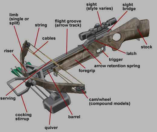 Using the right nock will keep you safe Using the right nock will keep you safe