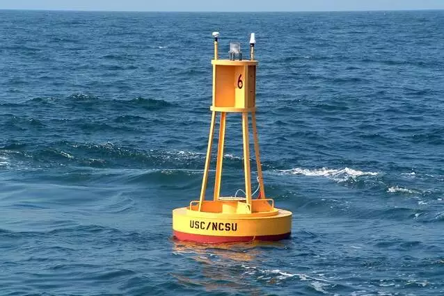 What is a buoy? What is a buoy?