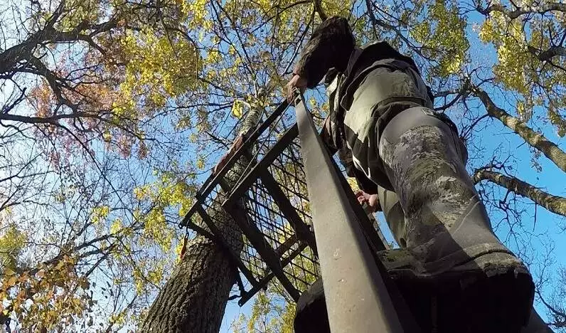 You Need to Haul Your Firearm Into A Tree Stand, What Is The First Step You Should Take You Need to Haul Your Firearm Into A Tree Stand, What Is The First Step You Should Take