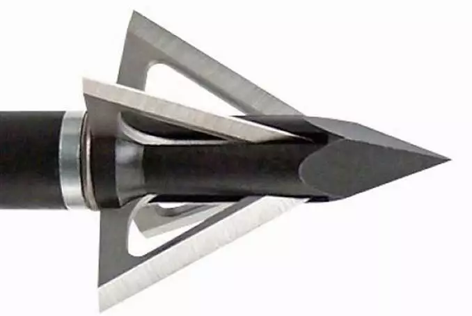Which Statement About Broadheads Is True? Which Statement About Broadheads Is True?