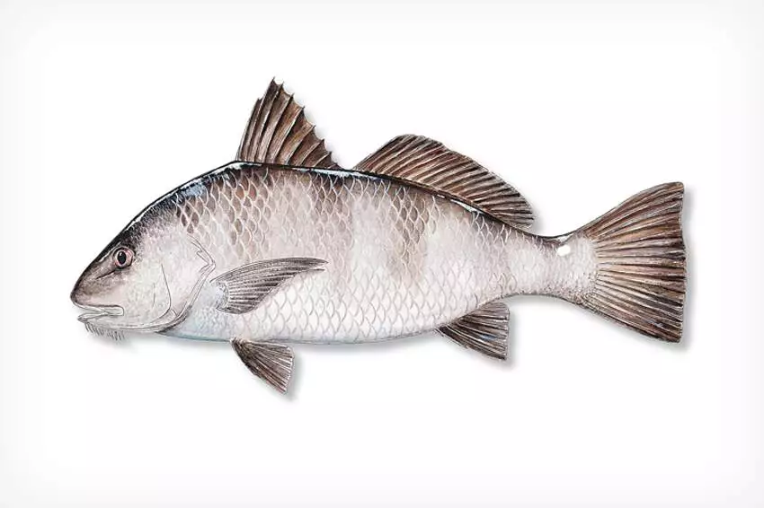 Why You Should Name Your Fishing Boat Why You Should Name Your Fishing Boat